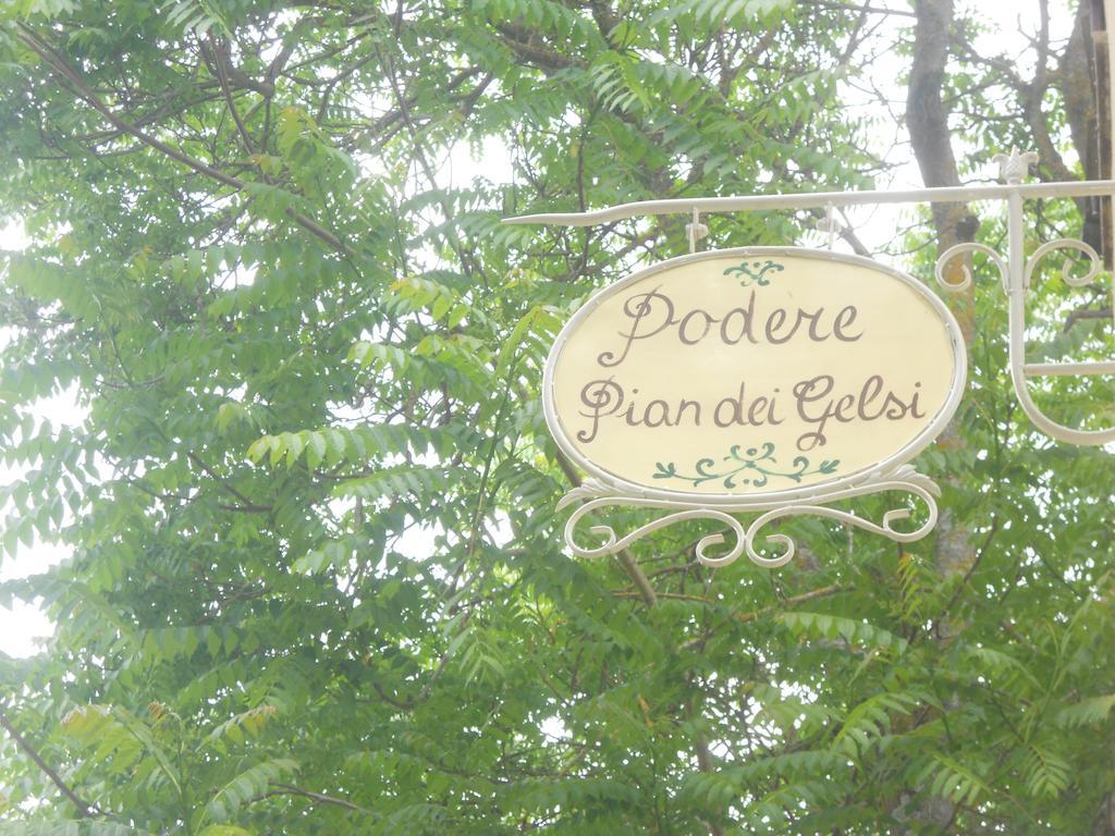 Podere Pian Dei Gelsi Вольтерра Экстерьер фото